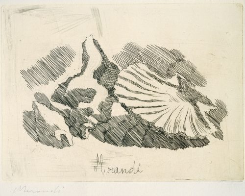 Morandi e l'arte dell'incisione