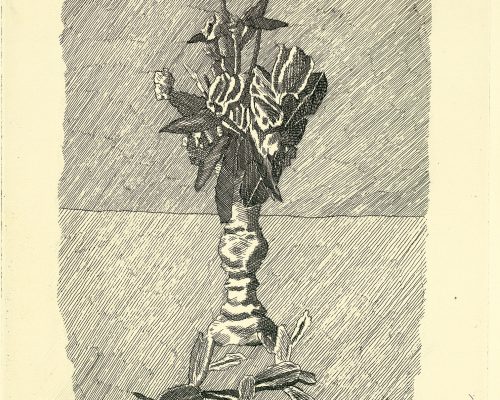 Morandi e l'arte dell'incisione